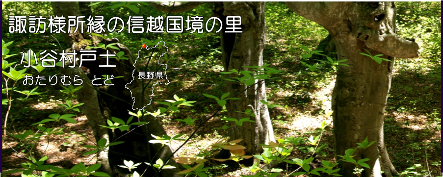 クロモジ茶